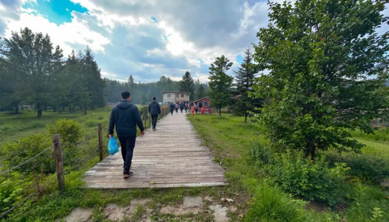 bahn-update für april: erfahren sie, warum sie ihre sitzplatzreservierung für ostern noch heute ändern sollten, um stressfrei und bequem zu reisen.
